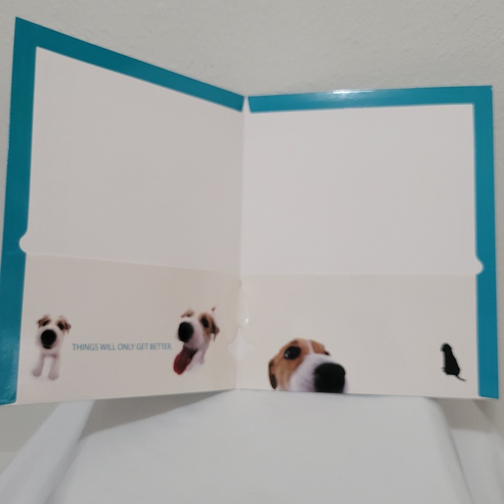 The Dog Artist Collection Lot of 3 2-Pocket Folders Lab Jack Russel Shepherd - Picture 7 of 10